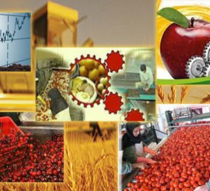 سهم صنایع غذایی از صادرات غیرنفتی چقدر است؟