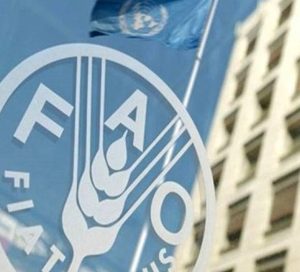کاهش شاخص قیمت مواد غذایی جهان برای دومین ماه متوالی/ گندم و مرغ گران شد