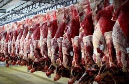 آخرین قیمت گوشت قرمز در بازار