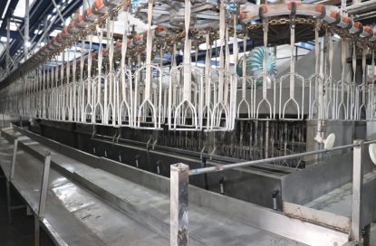 عرضه بیش از ۲۰۰ هزار تن گوشت طیور در خردادماه