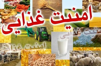 ۹ طرح فناورانه حوزه امنیت غذایی و اصلاح نژاد دام و طیور در دستور کار ستاد زیست‌فناوری