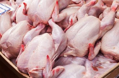 گوشت مرغ و بوقلمون را پیش از پخت نشویید