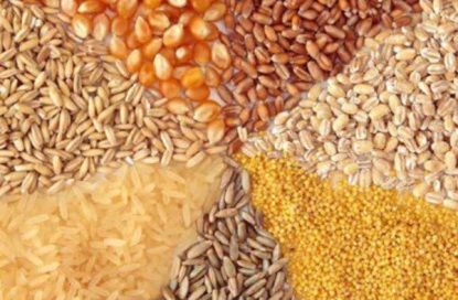 قیمت‌گذاری دستوری فروش نهاده‌های دامی