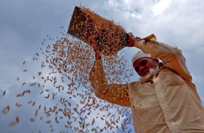 هزینه واردات مواد غذایی نزدیک به رکورد ۲ تریلیون دلار