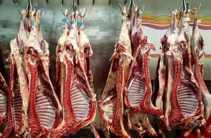 استخوان لای زخم بازار گوشت/ درمان چیست؟